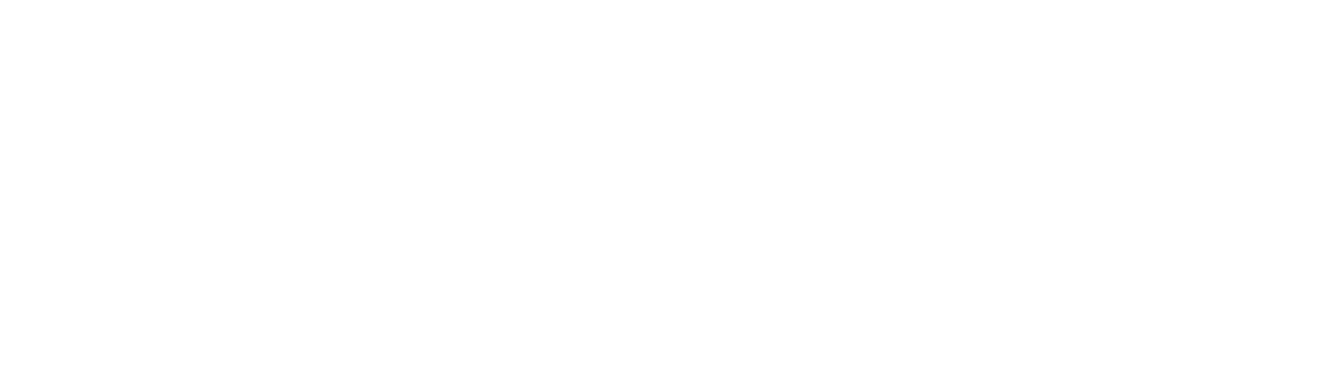 Alpin Markets